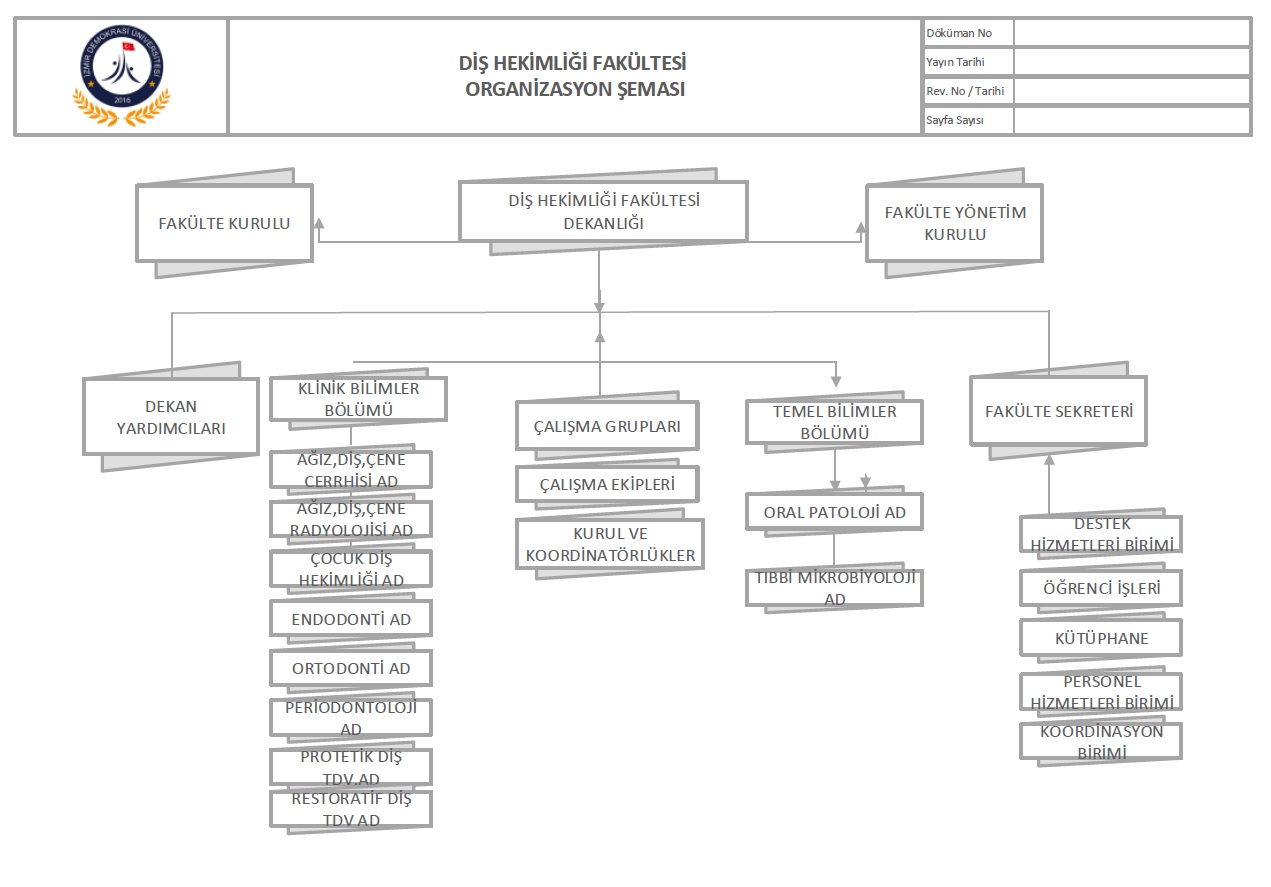 Organizasyon Şeması.jpg